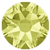 12ss Jonquil 